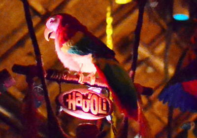 HAUOLI