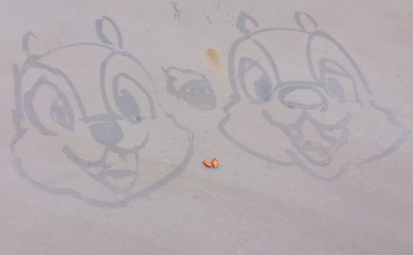 カストーディアルアート ディズニーランドのほうきと水で描くディズニーキャラクターアートはいつどこで見れるのか